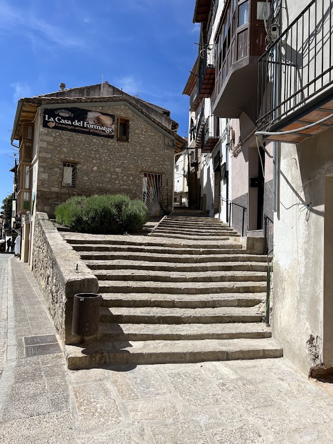 MORELLA
